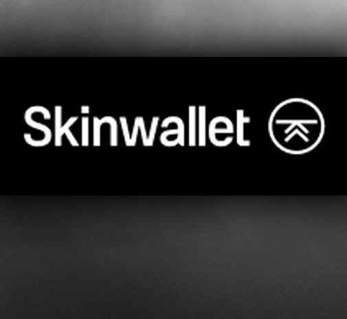 Турнір CS2 Skinwallet Cup #1